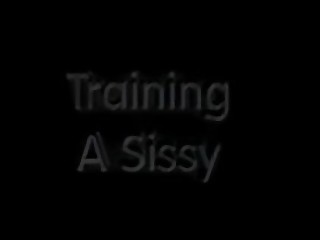 Training A Sissy